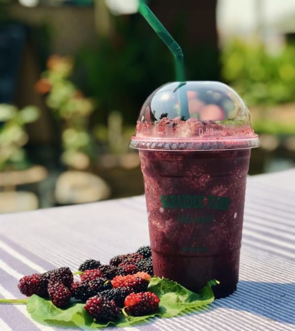 Sabaidee Berry Smoothie