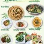 Cannabis Foods by Ban Rai Sabaidee