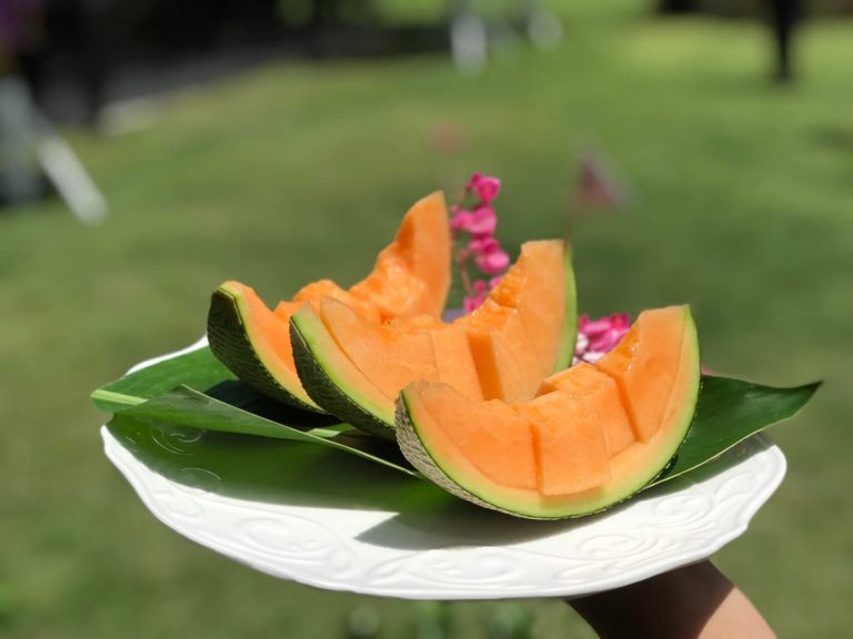 Fresh Orange Melons at Sabaidee Farm in Chiang Rai