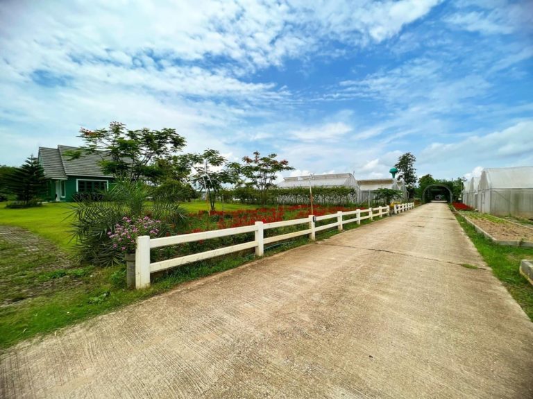 Organic Farm in Chiang Rai